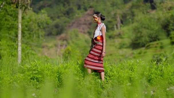 Een Vrouw Gekleed Traditionele Kleding Loopt Een Levendig Weelderig Veld — Stockvideo