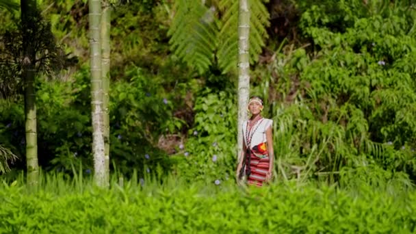 Kvinna Traditionella Kläder Promenader Nära Gröna Bambupoler Omgiven Frodig Miljö — Stockvideo