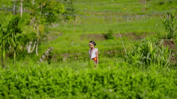 一个穿着传统服装的女人在白天从容地走过一片生机勃勃的田野 — 图库视频影像
