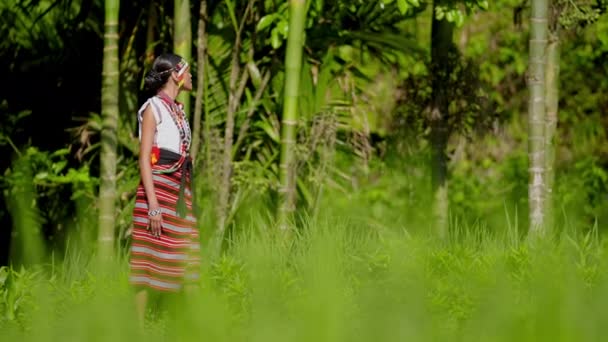 一位穿着传统服装的妇女白天穿着绿色竹竿走过一片绿油油的田野 — 图库视频影像