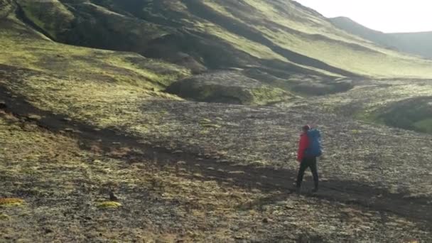 ジャケットの男とバックパックで緑豊かな風景をハイキングし 晴れた日にアイスランドのラウダスカルクレーターに向かいます — ストック動画