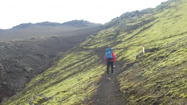 ラウダスカルクレーターに沿ったゆっくりとした動きで歩くバックパック付きのハイカーのバックビュー そのモスカバーされた火山の土に触れる — ストック動画