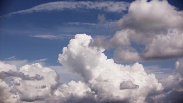 Pamuk Benzeri Oluşumları Andıran Bulutlar Değmemiş Mavi Gökyüzüne Karşı Nazikçe — Stok video
