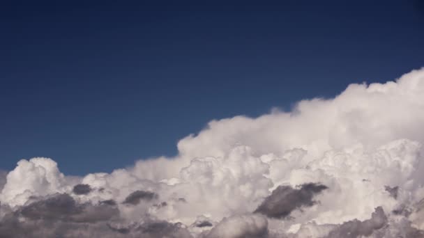 Beyaz Bulutların Dingin Güzelliği Engin Mavi Gökyüzünün Altında Zarafetle Sürükleniyor — Stok video