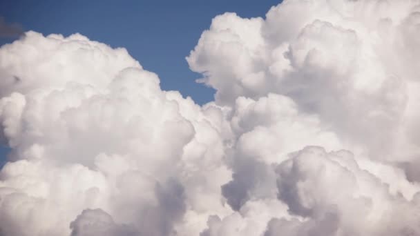 Nuvens Assemelhando Travesseiros Macios Graciosamente Ondulando Através Vasto Céu Azul — Vídeo de Stock