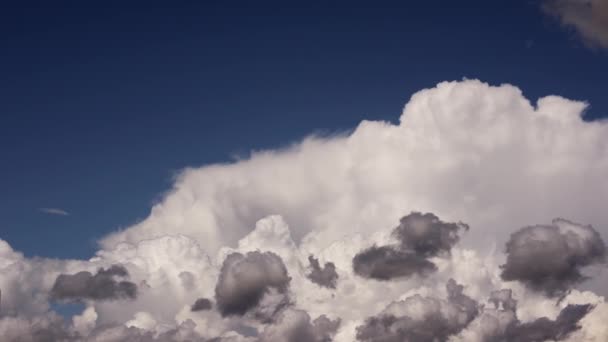 Nuvens Fofas Ondulantes Adornam Graciosamente Céu Durante Dia — Vídeo de Stock