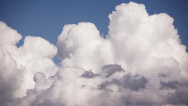 Pofuduk Beyaz Bulutların Parlak Mavi Gökyüzünde Zarif Bir Şekilde Dalgalandığı — Stok video