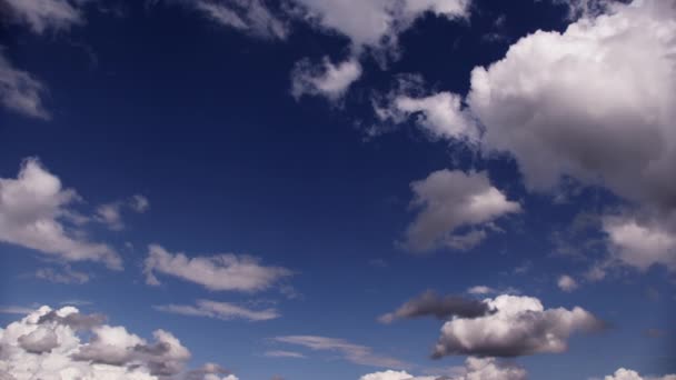 Bulutlar Zarif Bir Zarafetle Hareket Eder Parlak Mavi Tuvale Karşı — Stok video