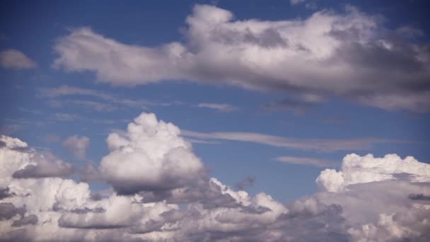 Gökyüzü Beyaz Bulutlar Için Bir Tuval Görevi Görüyor Süzülüp Sürüklenirken — Stok video