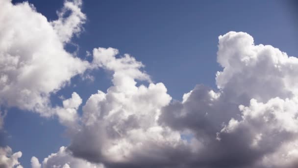 Een Opname Overdag Met Pluizige Witte Wolken Verschuift Sierlijk Drijft — Stockvideo