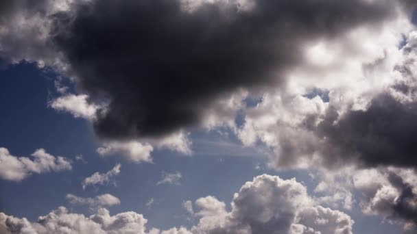 Clouds Elegantly Glide Sky Creating Dynamic Picturesque Display — Stock Video