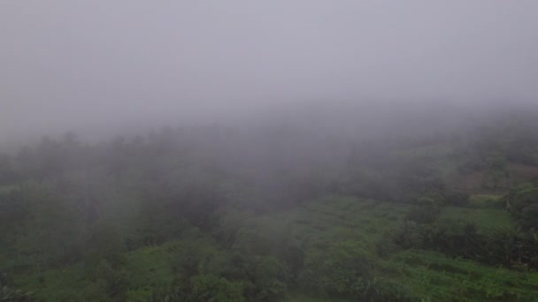 无人机拍下的一段视频 它揭示了笼罩在云雾中的神秘风景 — 图库视频影像