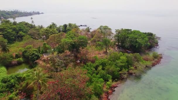 Ett Pittoreskt Tropiskt Paradis Med Kristallklart Vatten Grönskande Grönska Och — Stockvideo