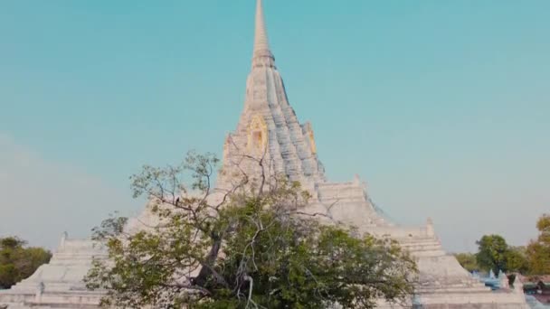 Ένας Σημαντικός Βουδιστικός Ναός Που Βρίσκεται Στην Ayutthaya Ταϊλάνδη Χρυσά — Αρχείο Βίντεο