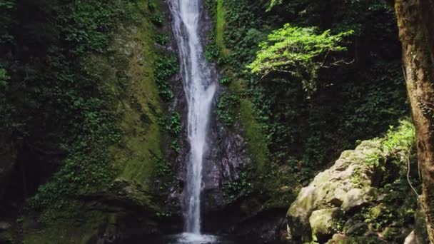 Una Cascada Agua Cristalina Cae Altura Acantilado Verde Una Piscina — Vídeos de Stock