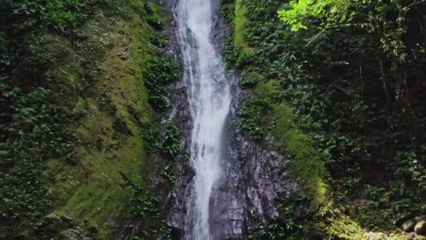 Una Cascada Con Agua Clara Fluye Rápidamente Por Río Bajo — Vídeos de Stock