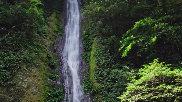 Naklápěcí Záběr Lesního Vodopádu Křišťálově Čistou Vodou Tekoucí Zeleného Útesu — Stock video