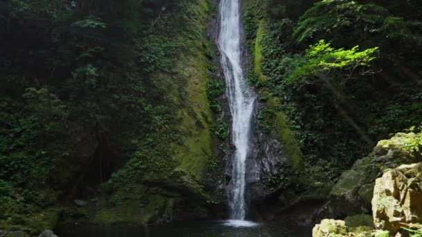 Una Cascada Agua Cristalina Sumerge Desde Exuberante Acantilado Verde Creando — Vídeos de Stock