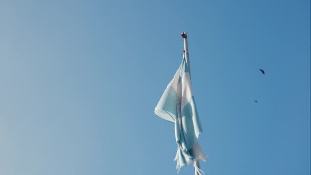 Μια Άποψη Χαμηλής Γωνίας Της Σημαίας Της Αργεντινής Εμφανίζοντας Φθαρμένες — Αρχείο Βίντεο