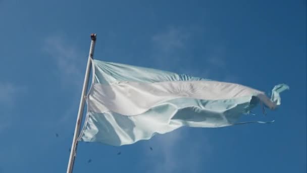 Μια Χαμηλή Γωνία Της Σημαίας Της Αργεντινής Ένα Κοντάρι Σημαίας — Αρχείο Βίντεο