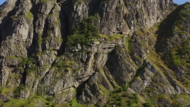 Drone Shot Déplaçant Vers Haut Montrant Montagne Accidentée Moussue Lofoten — Video