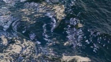 Dalgalar, derin mavi denizin engin sularında yavaşça akıyor.