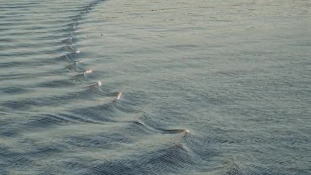 海面上平静的海浪形成的一个正在消退的镜头 — 图库视频影像