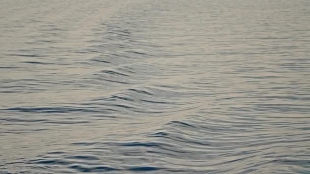 白天以平静的海浪为特征的场景 — 图库视频影像