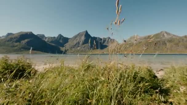 Пляжный Рай Спокойствие Берега Встречает Великолепие Возвышающихся Гор Создавая Очаровательный — стоковое видео