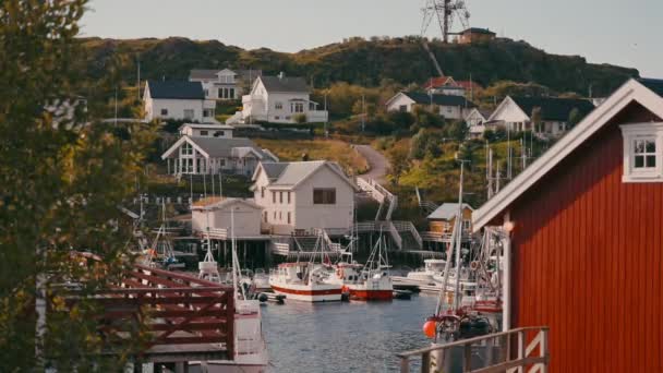ボートで装飾された魅力的な沿岸村は 海辺の生活の精神をカプセル化する絵のようなシーンを作成します — ストック動画