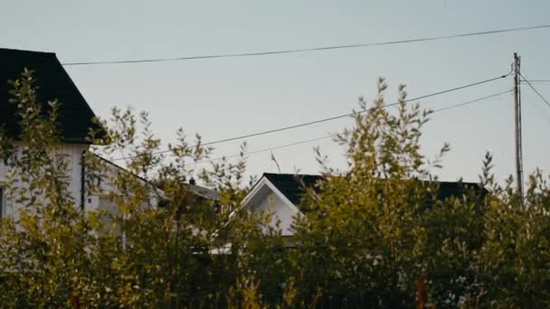 Wohnhäuser Mit Pflanzen Vordergrund Und Der Nationalflagge Norwegens Die Stolz — Stockvideo