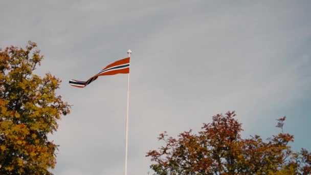 挪威国旗在风中飘扬 在美丽的蓝天背景下体现了挪威的精神 — 图库视频影像