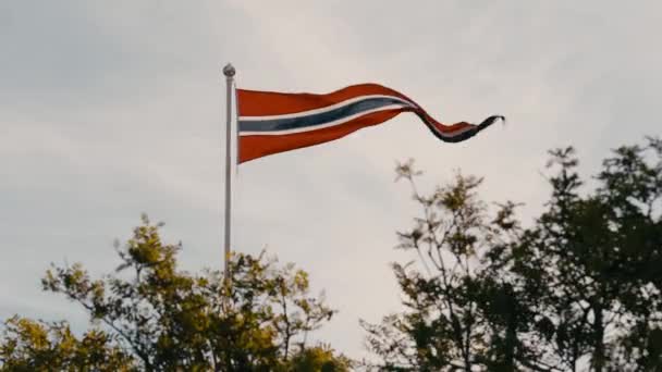 Bandiera Nazionale Norvegese Spiegata Contro Cielo Luminoso Diurno Con Alberi — Video Stock