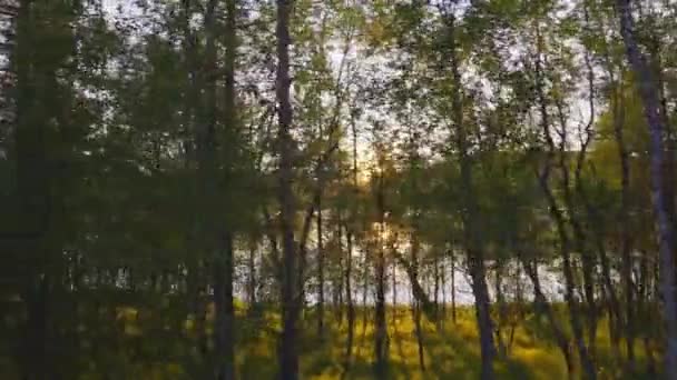 Een Rustige Rit Langs Een Meer Tijdens Zonsondergang Omgeven Door — Stockvideo