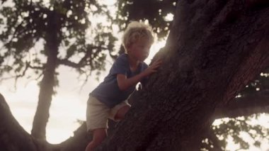 Bir çocuğun korkusuzca heybetli bir ağacın dallarına tırmanıp parlak güneş ışığına doğru tırmandığı orta boy bir fotoğraf.