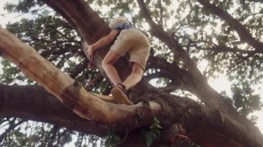 Düşük açılı bir manzara, bir çocuğu gün ışığında bir ağaca tırmanırken yakalar.