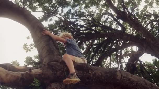 Low Angle View Captures Boy Relaxing Tree Allowing His Legs — Stock Video
