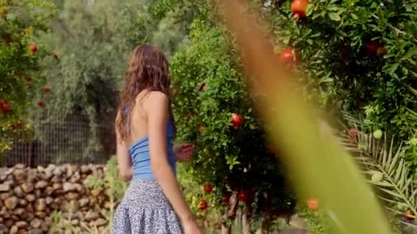 Gün Içinde Bahçede Olgun Elmalara Bakıp Dokunan Bir Kızın Yan — Stok video