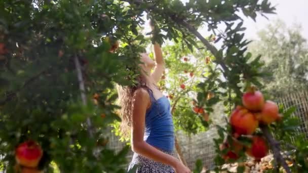 Gündüz Vakti Bir Kız Meyve Bahçesinin Huzurlu Saadetinde Mükemmel Olgunlaşmış — Stok video