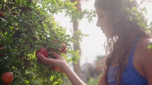 Bir Kız Sevgiyle Bahçede Olgun Elmalara Uzanır Doğanın Iyiliğine Bağlı — Stok video