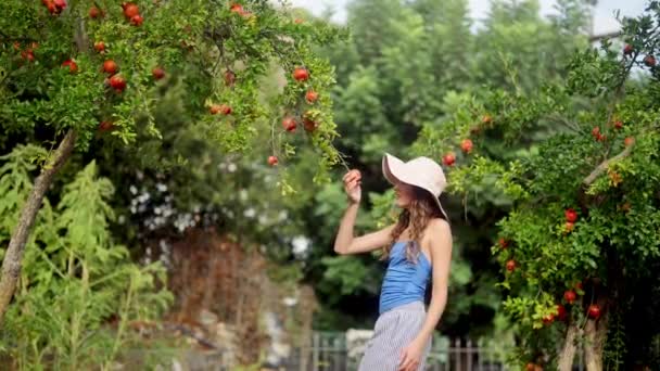 Güneş Şapkası Takmış Bir Kız Olgun Elmaların Tatlı Kokusuna Kapılıp — Stok video