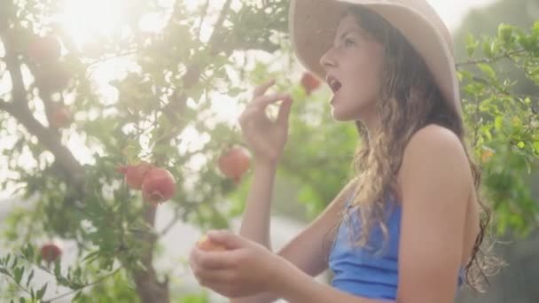 Güneş Şapkalı Mavi Bluzlu Bir Kız Bahçedeki Olgun Bir Elmanın — Stok video