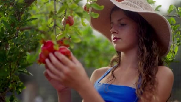 Mavi Bluzlu Bir Kız Olgun Bir Elmayı Incelikle Hasat Ediyor — Stok video
