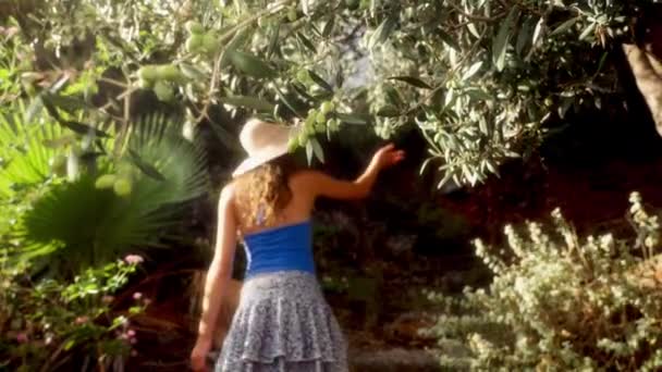 Камера Запечатлевает Вид Сзади Девушки Проходящей Мимо Оливкового Дерева Освещенного — стоковое видео