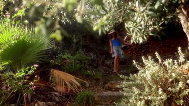 Полный Снимок Девушки Идущей Мимо Оливкового Дерева Освещенного Ярким Солнцем — стоковое видео