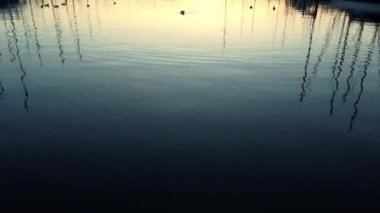 Alacakaranlıkta denizde ördek ve teknelerle dolu bir marina görüntüsü.