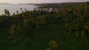 Ko Mak Adası 'nın yemyeşil manzarasına büyüleyici bir dron bakışı, canlı yeşilliklerle bezenmiş tropikal bir cenneti gözler önüne seriyor.