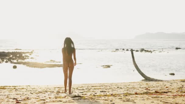 Woman Enjoys Charming Leisurely Sunset Stroll Seashore Bathed Warm Hues — Stock Video