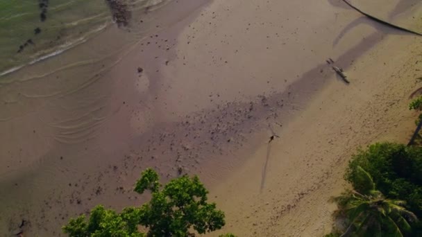 Ohromující Drone Výstřel Zachytí Ženu Doprovázenou Psy Kráčející Podél Klidného — Stock video
