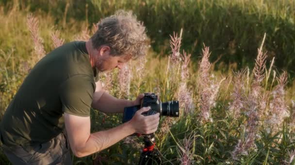 Hipnotyzującym Ujęciu Ręcznym Filmowiec Uchwyca Delikatne Piękno Kwiatów Chwastów — Wideo stockowe